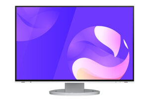 EIZO EV2495-WT Monitor